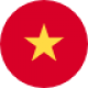 Vietnamese Translation