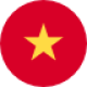 Vietnamese Translation